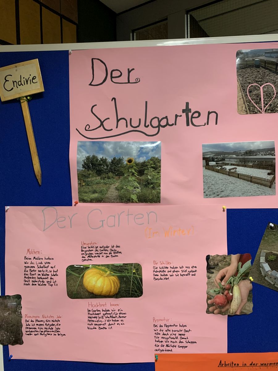 Der schuleigene Garten zeigt Erträge des letzten Jahres.